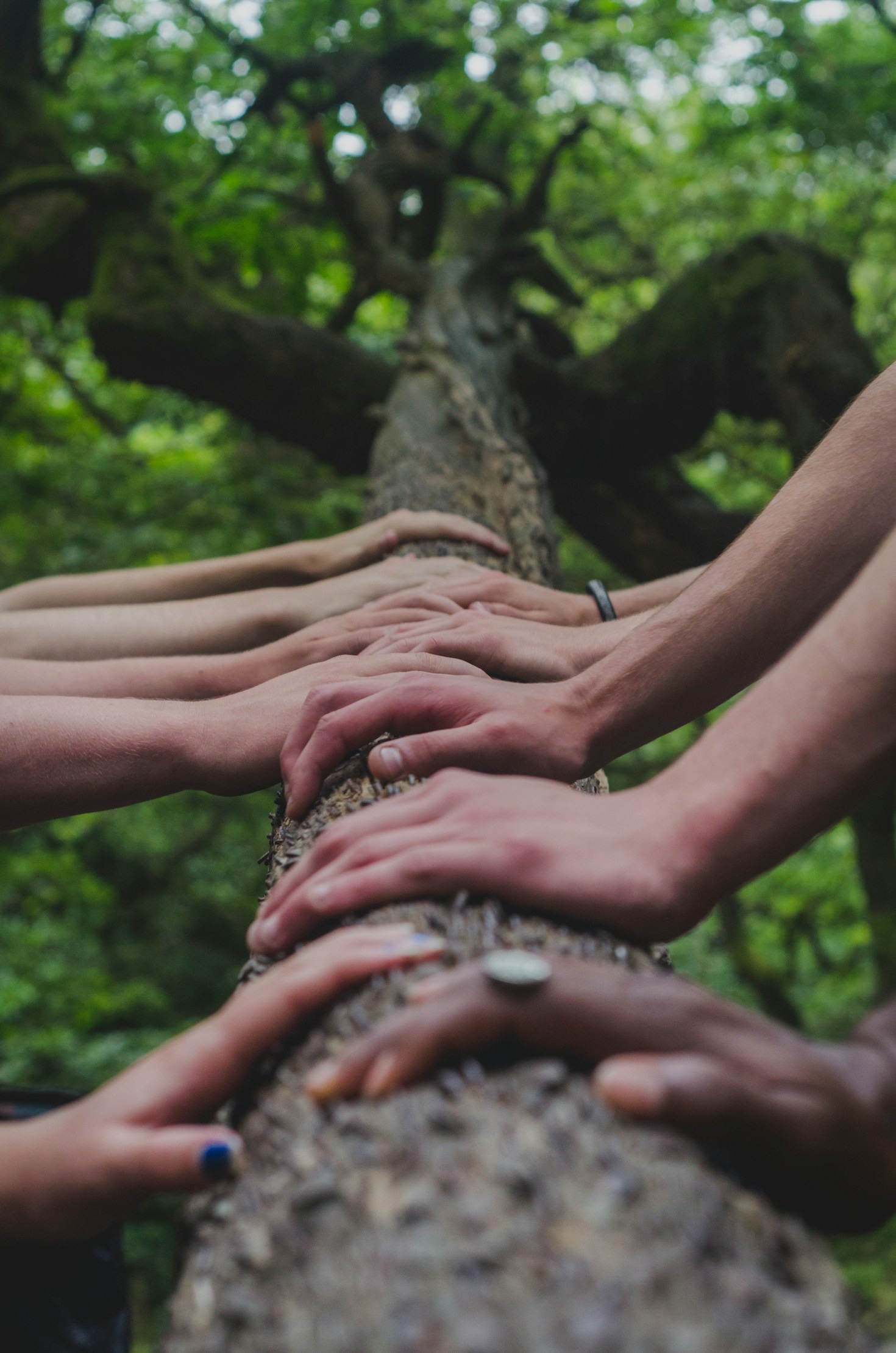 Empowering Brands to Engage Effectively